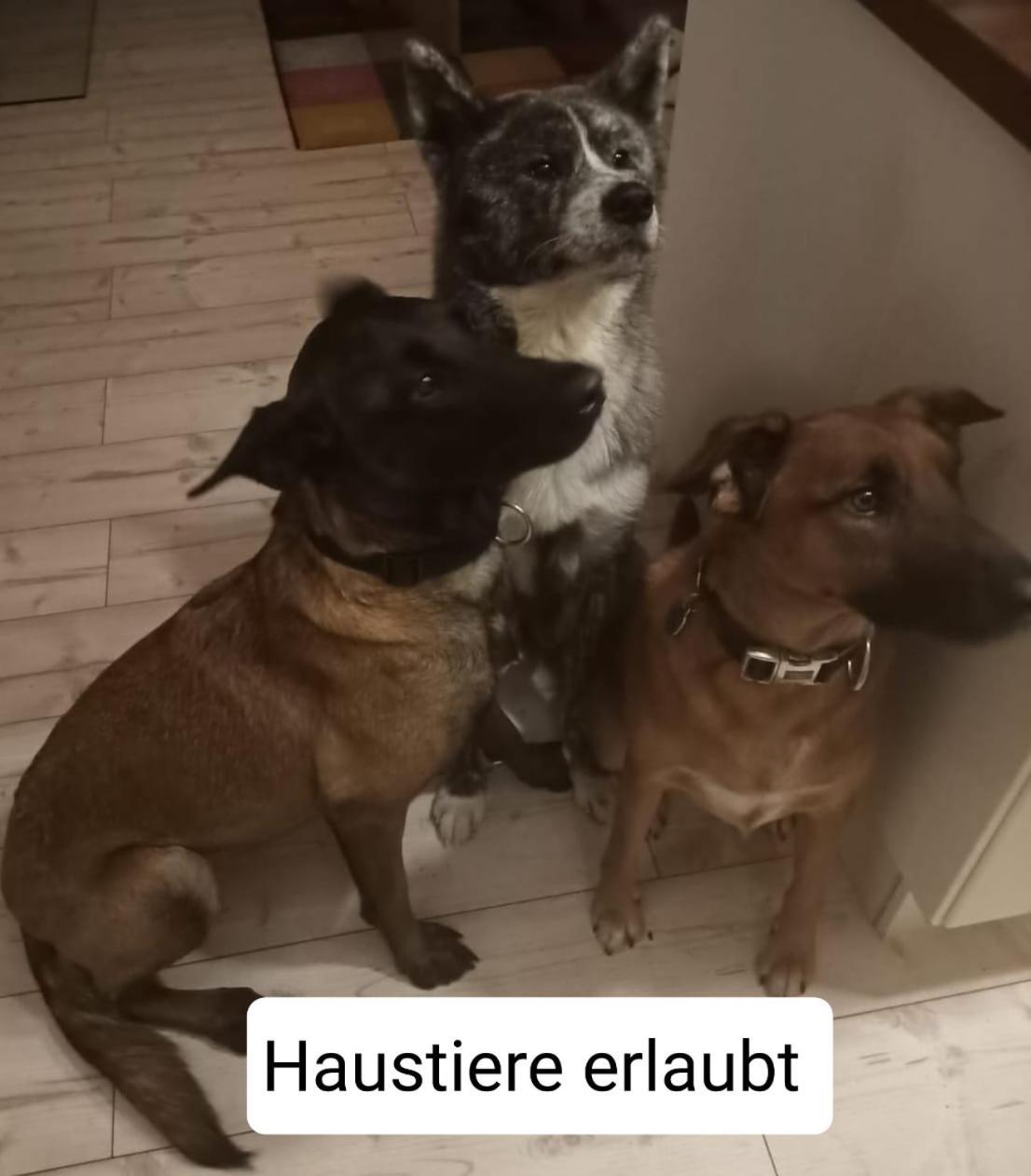 Ferienwohnungen Thomsen Bergdorf Pobershau Marienberg Bagian luar foto